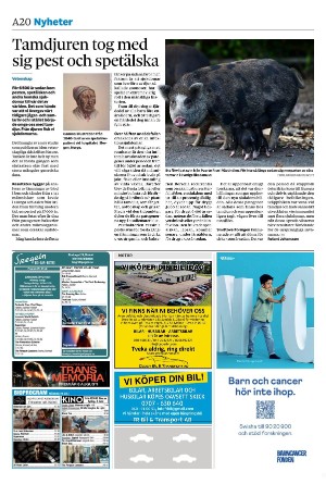 sydsvenskadagbladet_malmo-20250728_000_00_00_020.pdf