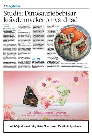 sydsvenskadagbladet_malmo-20250731_000_00_00_024.pdf