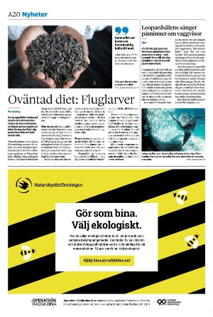 sydsvenskadagbladet_malmo-20250804_000_00_00_020.pdf