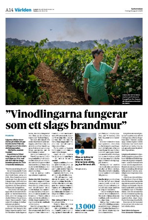 sydsvenskadagbladet_malmo-20250808_000_00_00_014.pdf