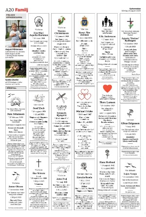 sydsvenskadagbladet_malmo-20250810_000_00_00_020.pdf