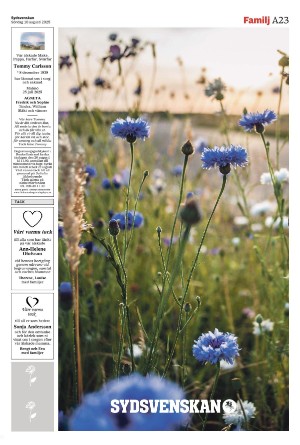 sydsvenskadagbladet_malmo-20250810_000_00_00_023.pdf