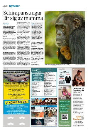 sydsvenskadagbladet_malmo-20250811_000_00_00_020.pdf