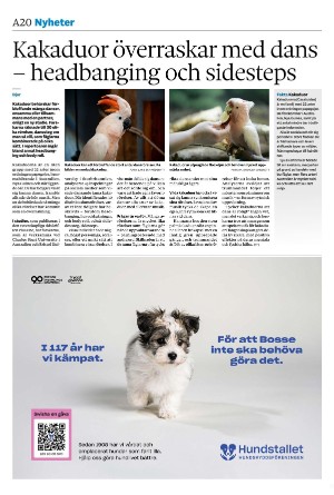 sydsvenskadagbladet_malmo-20250813_000_00_00_020.pdf