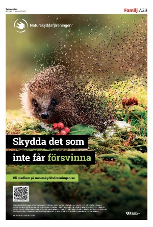 sydsvenskadagbladet_malmo-20250817_000_00_00_023.pdf