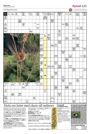 sydsvenskadagbladet_malmo-20250822_000_00_00_025.pdf