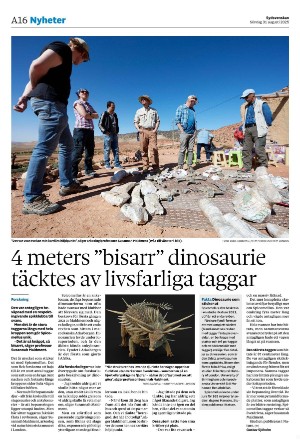 sydsvenskadagbladet_malmo-20250831_000_00_00_016.pdf