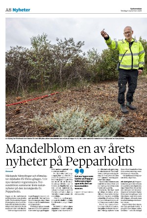sydsvenskadagbladet_malmo-20250904_000_00_00_008.pdf