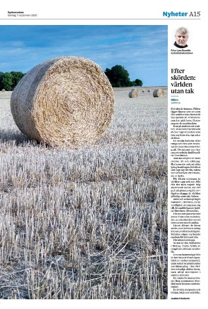 sydsvenskadagbladet_malmo-20250907_000_00_00_015.pdf
