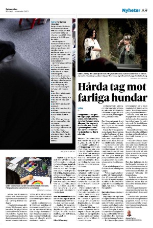 sydsvenskadagbladet_malmo-20250921_000_00_00_009.pdf