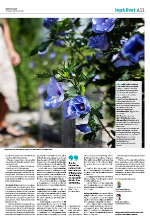 sydsvenskadagbladet_malmo-20251007_000_00_00_011.pdf