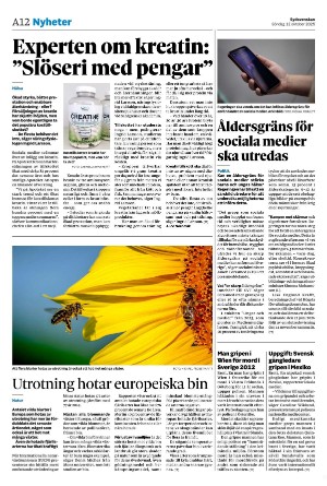 sydsvenskadagbladet_malmo-20251012_000_00_00_012.pdf