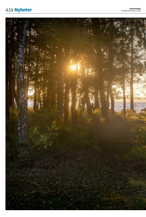 sydsvenskadagbladet_malmo-20251026_000_00_00_014.pdf sydsvenskadagbladet_malmo-20251026_000_00_00_014.pdf