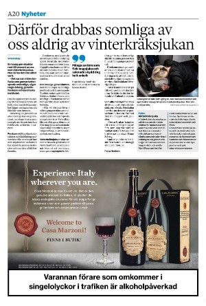 sydsvenskadagbladet_malmo-20251029_000_00_00_020.pdf sydsvenskadagbladet_malmo-20251029_000_00_00_020.pdf