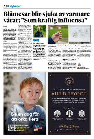 sydsvenskadagbladet_malmo-20251103_000_00_00_020.pdf