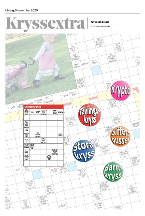 sydsvenskadagbladet_malmo-20251108_000_00_00_019.pdf