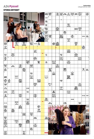 sydsvenskadagbladet_malmo-20251108_000_00_00_024.pdf