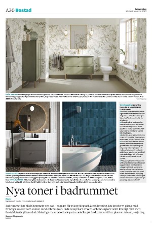 sydsvenskadagbladet_malmo-20251109_000_00_00_030.pdf