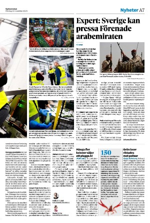 sydsvenskadagbladet_malmo-20251110_000_00_00_007.pdf