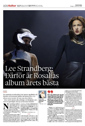 sydsvenskadagbladet_malmo-20251111_000_00_00_014.pdf