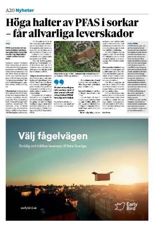 sydsvenskadagbladet_malmo-20251112_000_00_00_020.pdf
