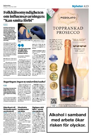sydsvenskadagbladet_malmo-20251114_000_00_00_013.pdf