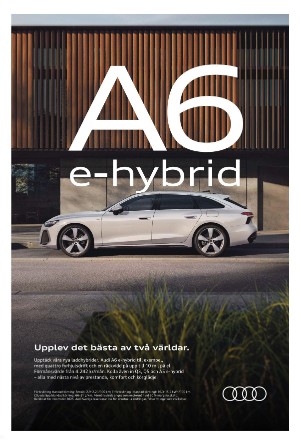 sydsvenskadagbladet_malmo-20251115_000_00_00_011.pdf