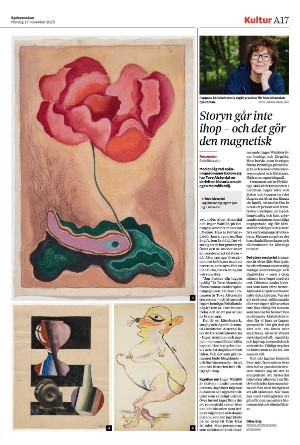 sydsvenskadagbladet_malmo-20251117_000_00_00_017.pdf