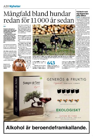 sydsvenskadagbladet_malmo-20251119_000_00_00_020.pdf