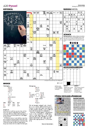 sydsvenskadagbladet_malmo-20251123_000_00_00_020.pdf