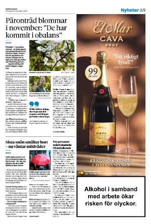 sydsvenskadagbladet_malmo-20251126_000_00_00_009.pdf