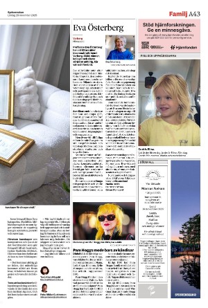 sydsvenskadagbladet_malmo-20251129_000_00_00_043.pdf