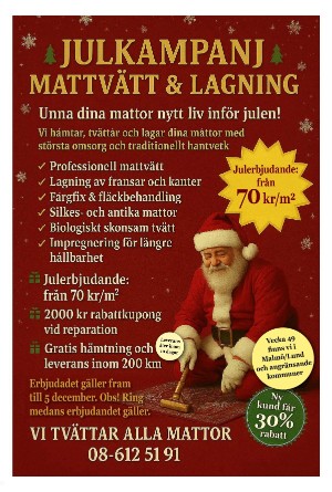 sydsvenskadagbladet_malmo-20251130_000_00_00_013.pdf