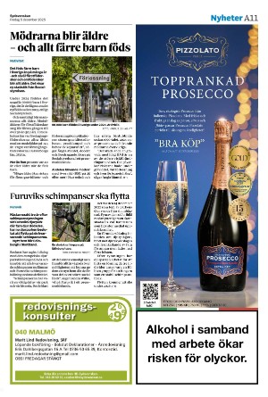 sydsvenskadagbladet_malmo-20251205_000_00_00_011.pdf