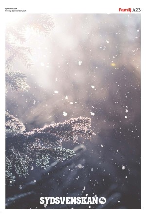 sydsvenskadagbladet_malmo-20251221_000_00_00_023.pdf