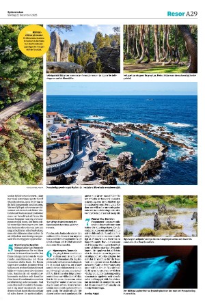 sydsvenskadagbladet_malmo-20251221_000_00_00_029.pdf