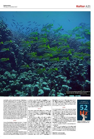 sydsvenskadagbladet_malmo-20251222_000_00_00_021.pdf