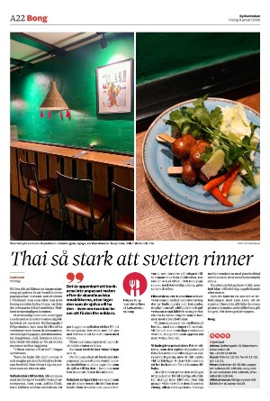 sydsvenskadagbladet_malmo-20260109_000_00_00_022.pdf