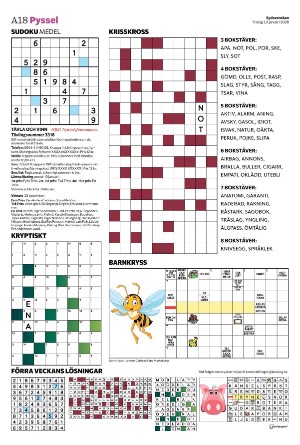 sydsvenskadagbladet_malmo-20260113_000_00_00_018.pdf