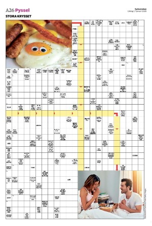 sydsvenskadagbladet_malmo-20260117_000_00_00_026.pdf