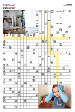 sydsvenskadagbladet_malmo-20260131_000_00_00_024.pdf