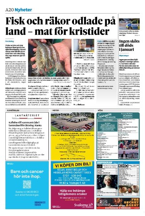 sydsvenskadagbladet_malmo-20260203_000_00_00_020.pdf