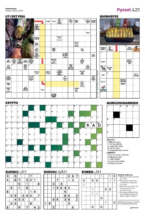 sydsvenskadagbladet_malmo-20260207_000_00_00_025.pdf