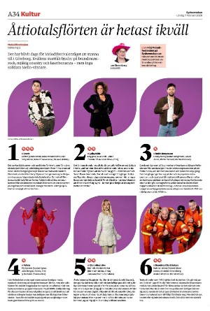 sydsvenskadagbladet_malmo-20260207_000_00_00_034.pdf