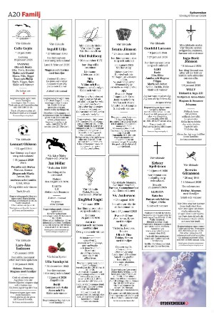 sydsvenskadagbladet_malmo-20260208_000_00_00_020.pdf