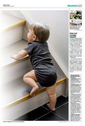 sydsvenskadagbladet_malmo-20260208_000_00_00_023.pdf