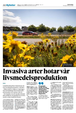 sydsvenskadagbladet_malmo-20260212_000_00_00_006.pdf