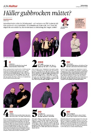 sydsvenskadagbladet_malmo-20260214_000_00_00_034.pdf