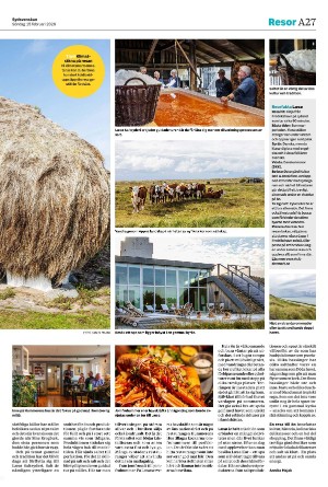 sydsvenskadagbladet_malmo-20260215_000_00_00_027.pdf