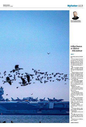 sydsvenskadagbladet_malmo-20260308_000_00_00_013.pdf